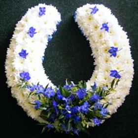 fwthumbPicture 322l.jpg
